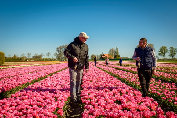 Selectiewerkzaamheden