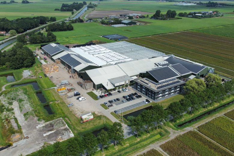 About Borst Bloembollen